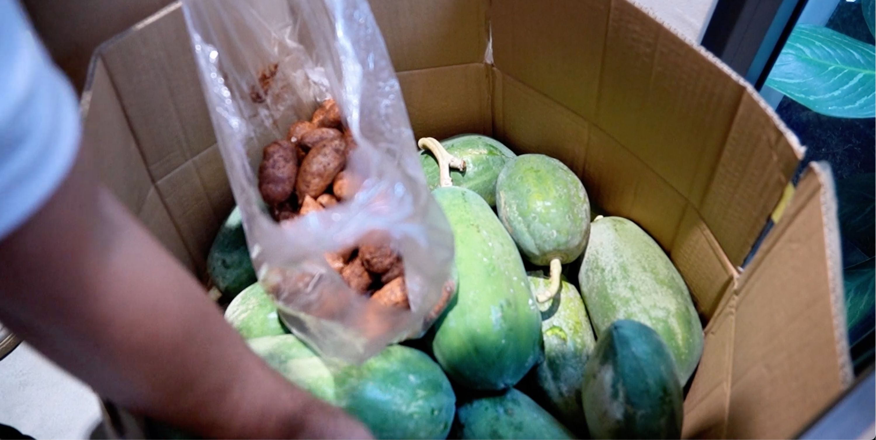 CHARM GROUP TẶNG NÔNG SẢN TRI ÂN CỘNG ĐỒNG DÂN CƯ