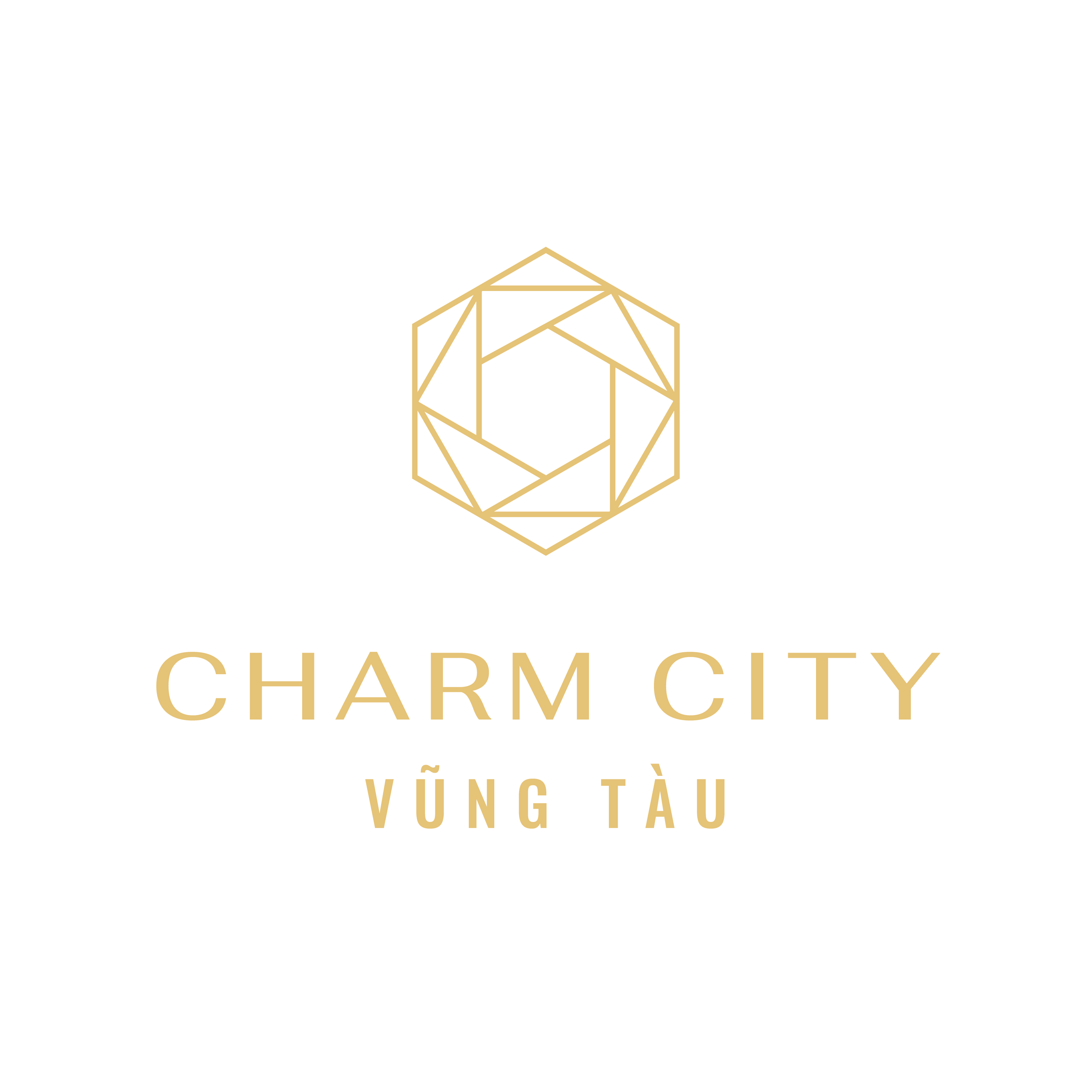Charm City Vũng Tàu